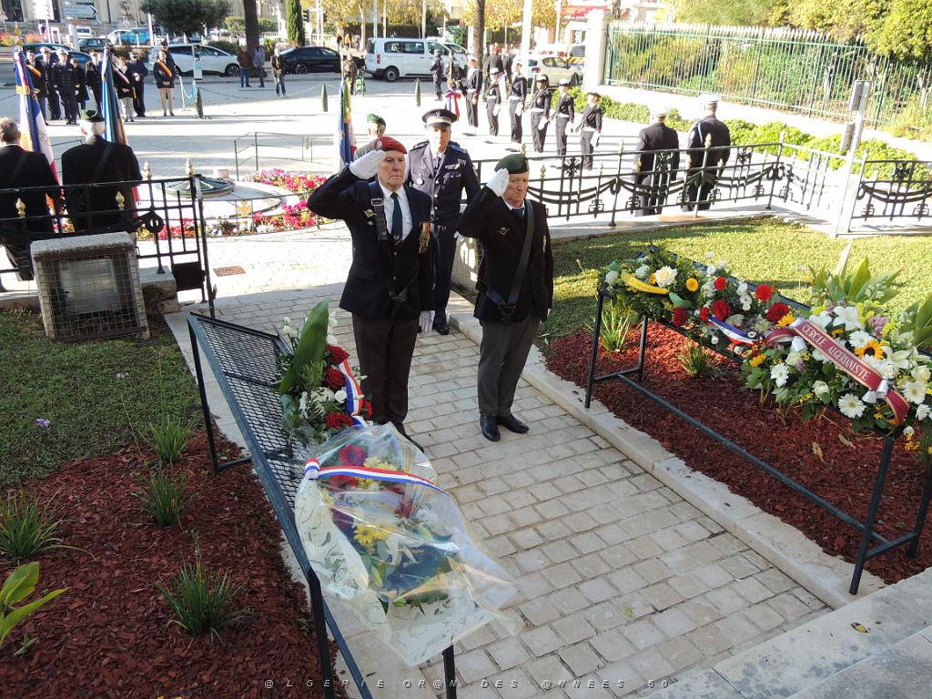 2022 12 05 TOULON HOMMAGE AUX MORTS POUR LA FRANCE EN AFN (68).JPG -           